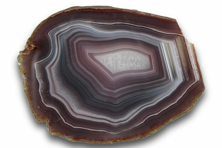 Polished Banded Swazi Agate - Mozambique #243617